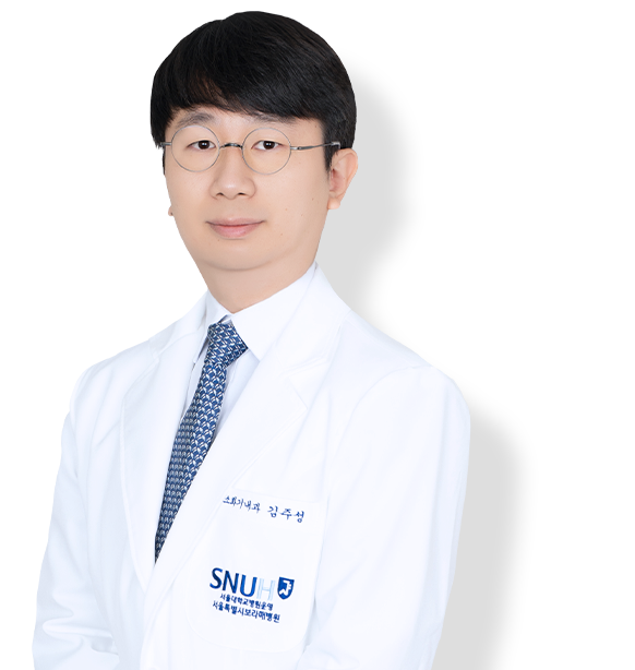 서울특별시보라매병원 김주성